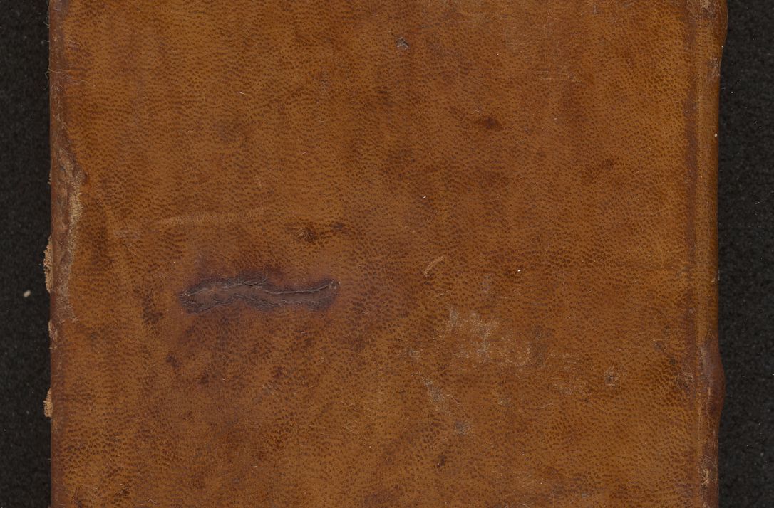 Zdjęcie nr 2 dla obiektu archiwalnego: [Acta sentenciarum officialia coram Valentino de Ilkusch]