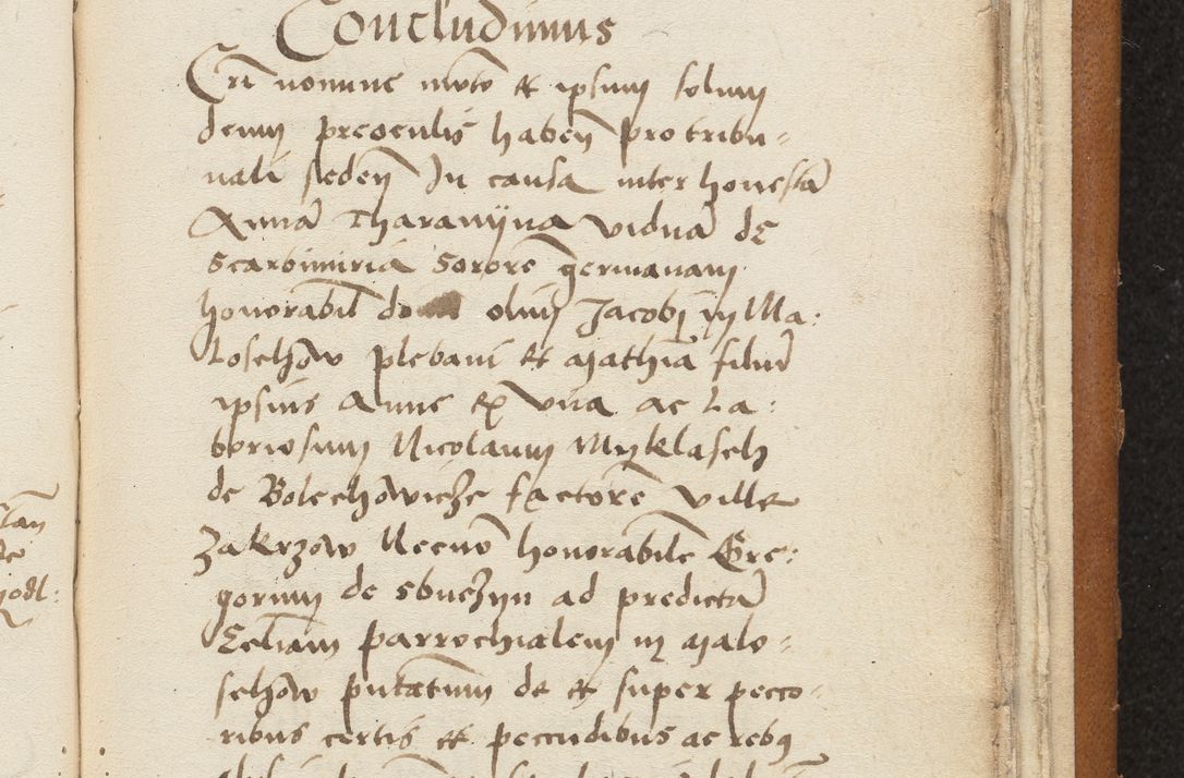 Zdjęcie nr 433 dla obiektu archiwalnego: [Acta sentenciarum officialia coram Valentino de Ilkusch]