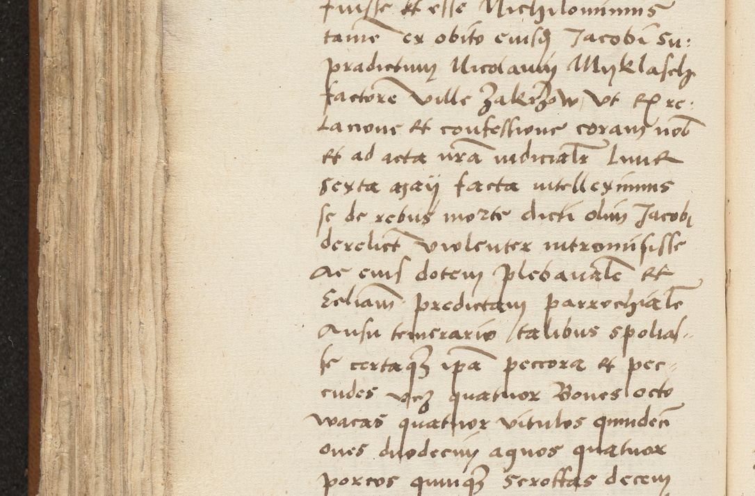 Zdjęcie nr 434 dla obiektu archiwalnego: [Acta sentenciarum officialia coram Valentino de Ilkusch]