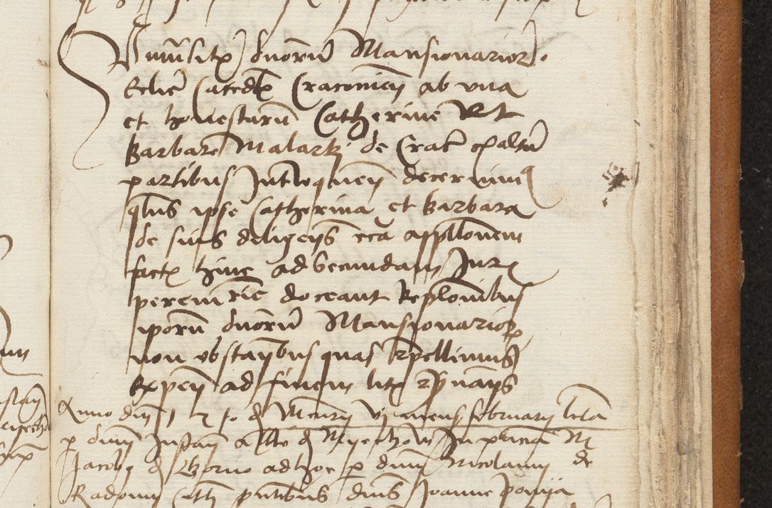 Zdjęcie nr 403 dla obiektu archiwalnego: [Acta sentenciarum officialia coram Valentino de Ilkusch]