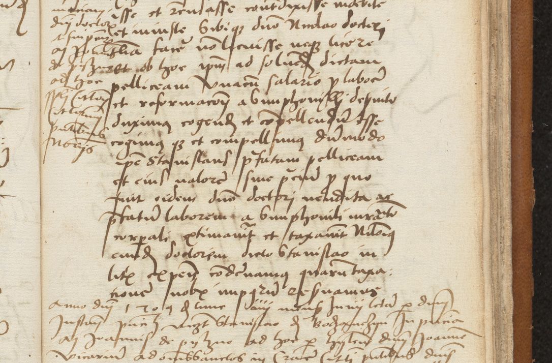 Zdjęcie nr 355 dla obiektu archiwalnego: [Acta sentenciarum officialia coram Valentino de Ilkusch]