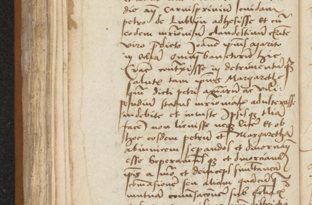 Zdjęcie nr 352 dla obiektu archiwalnego: [Acta sentenciarum officialia coram Valentino de Ilkusch]