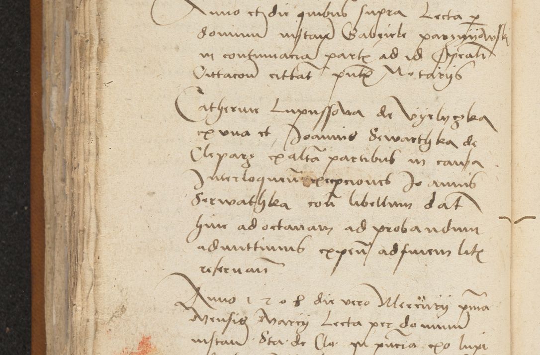 Zdjęcie nr 318 dla obiektu archiwalnego: [Acta sentenciarum officialia coram Valentino de Ilkusch]