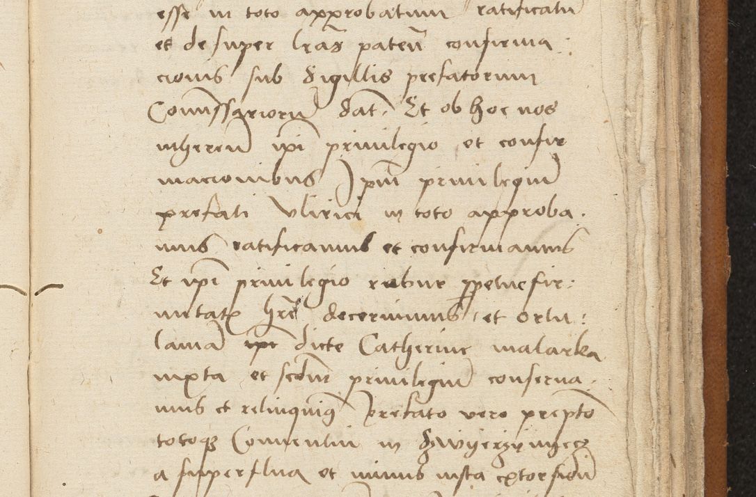 Zdjęcie nr 321 dla obiektu archiwalnego: [Acta sentenciarum officialia coram Valentino de Ilkusch]