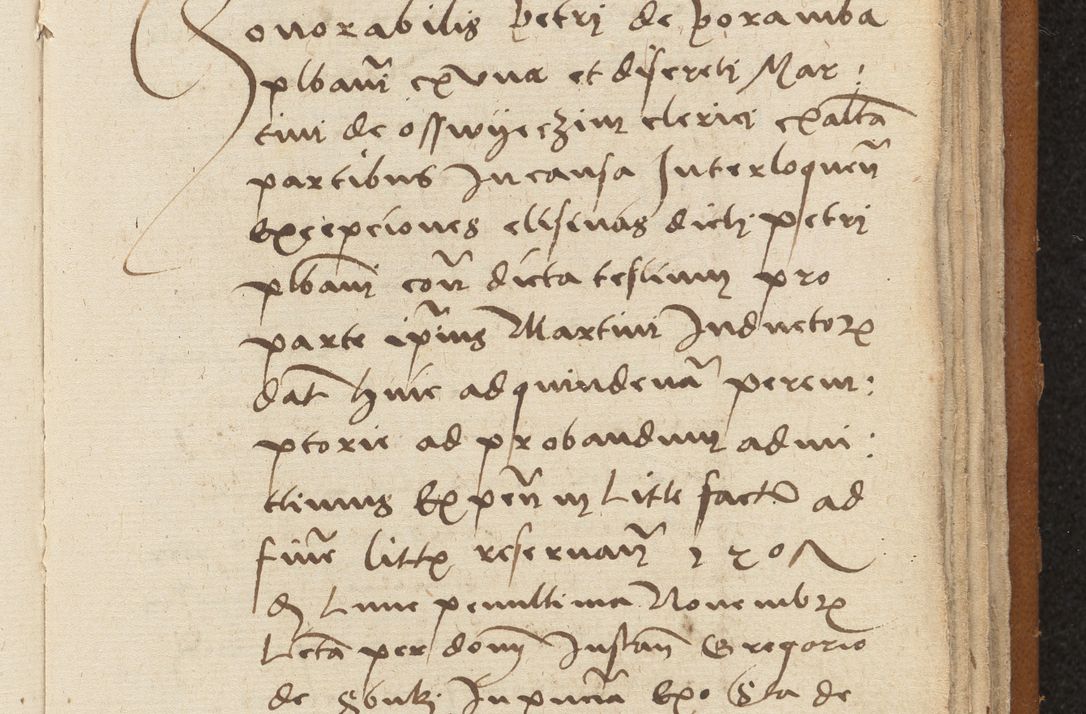 Zdjęcie nr 301 dla obiektu archiwalnego: [Acta sentenciarum officialia coram Valentino de Ilkusch]