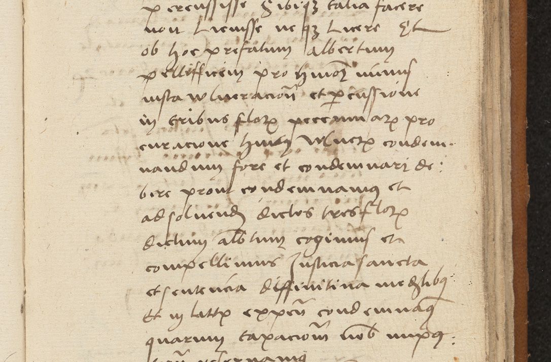 Zdjęcie nr 293 dla obiektu archiwalnego: [Acta sentenciarum officialia coram Valentino de Ilkusch]