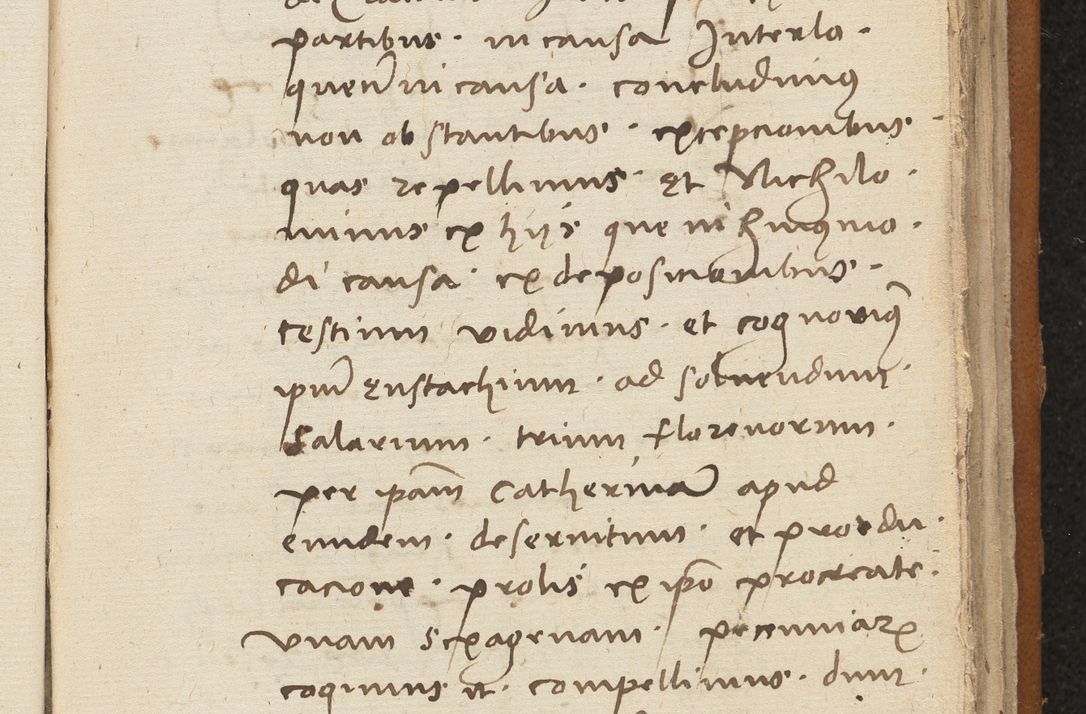 Zdjęcie nr 285 dla obiektu archiwalnego: [Acta sentenciarum officialia coram Valentino de Ilkusch]