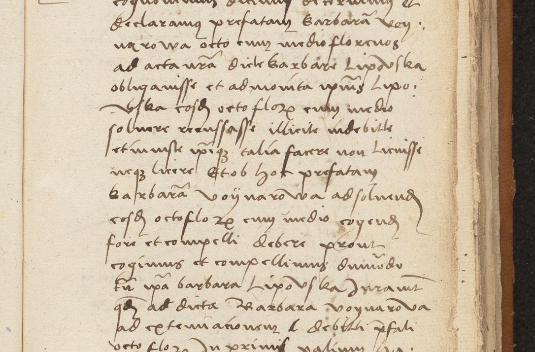 Zdjęcie nr 283 dla obiektu archiwalnego: [Acta sentenciarum officialia coram Valentino de Ilkusch]