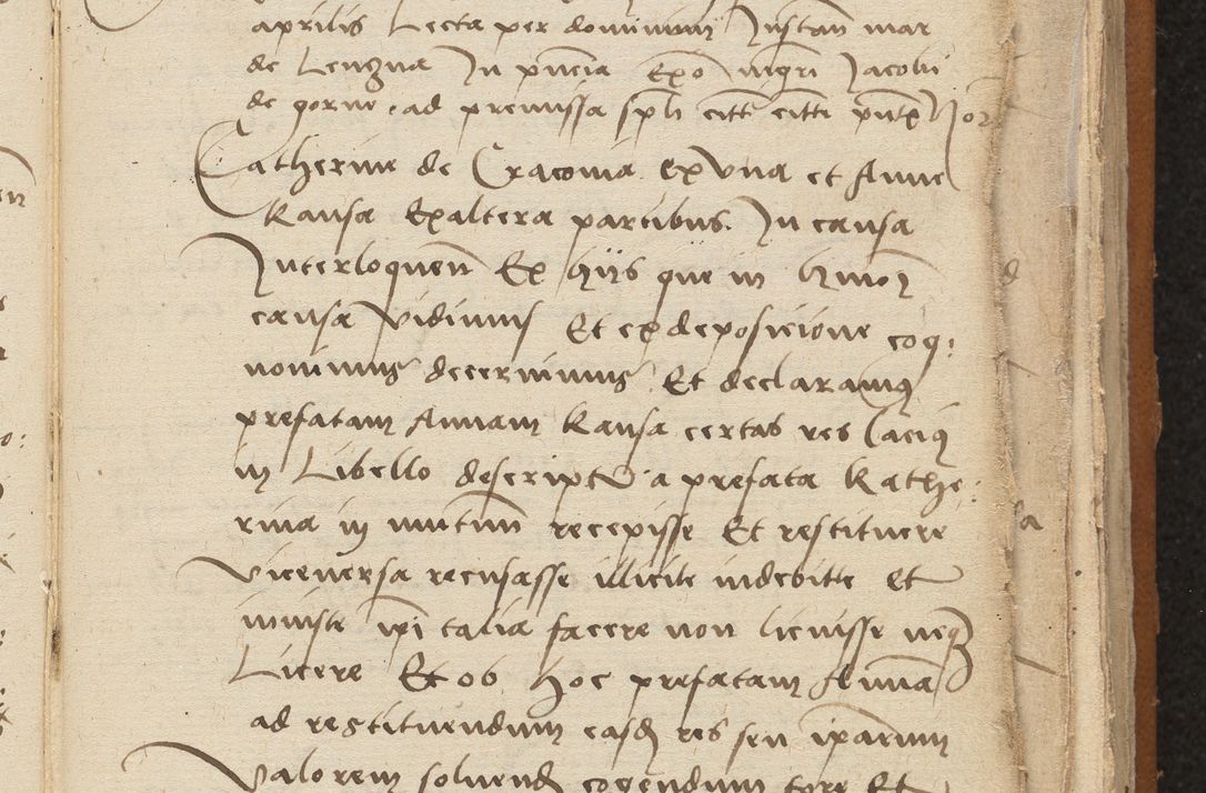 Zdjęcie nr 265 dla obiektu archiwalnego: [Acta sentenciarum officialia coram Valentino de Ilkusch]