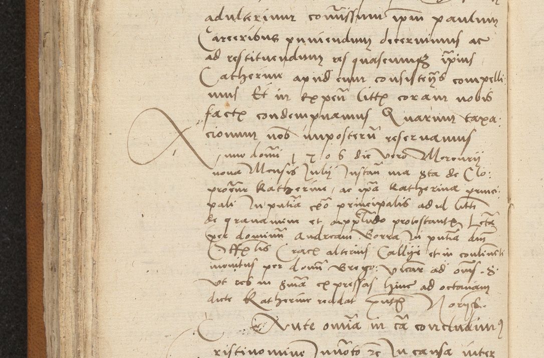 Zdjęcie nr 228 dla obiektu archiwalnego: [Acta sentenciarum officialia coram Valentino de Ilkusch]