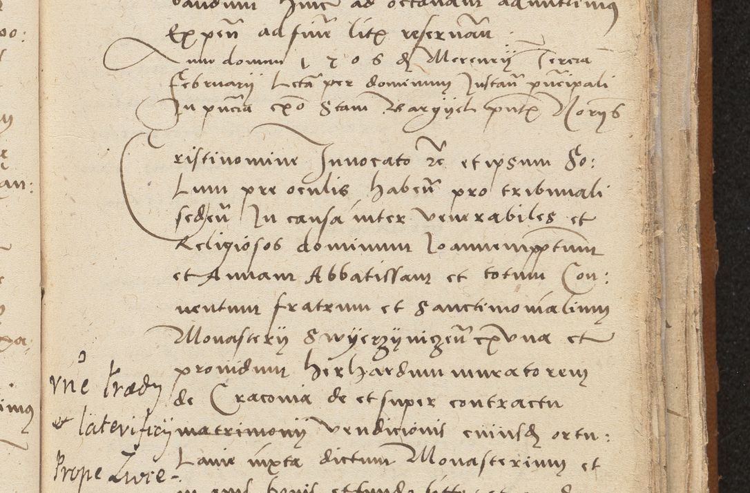 Zdjęcie nr 223 dla obiektu archiwalnego: [Acta sentenciarum officialia coram Valentino de Ilkusch]