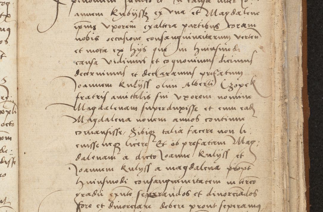 Zdjęcie nr 217 dla obiektu archiwalnego: [Acta sentenciarum officialia coram Valentino de Ilkusch]