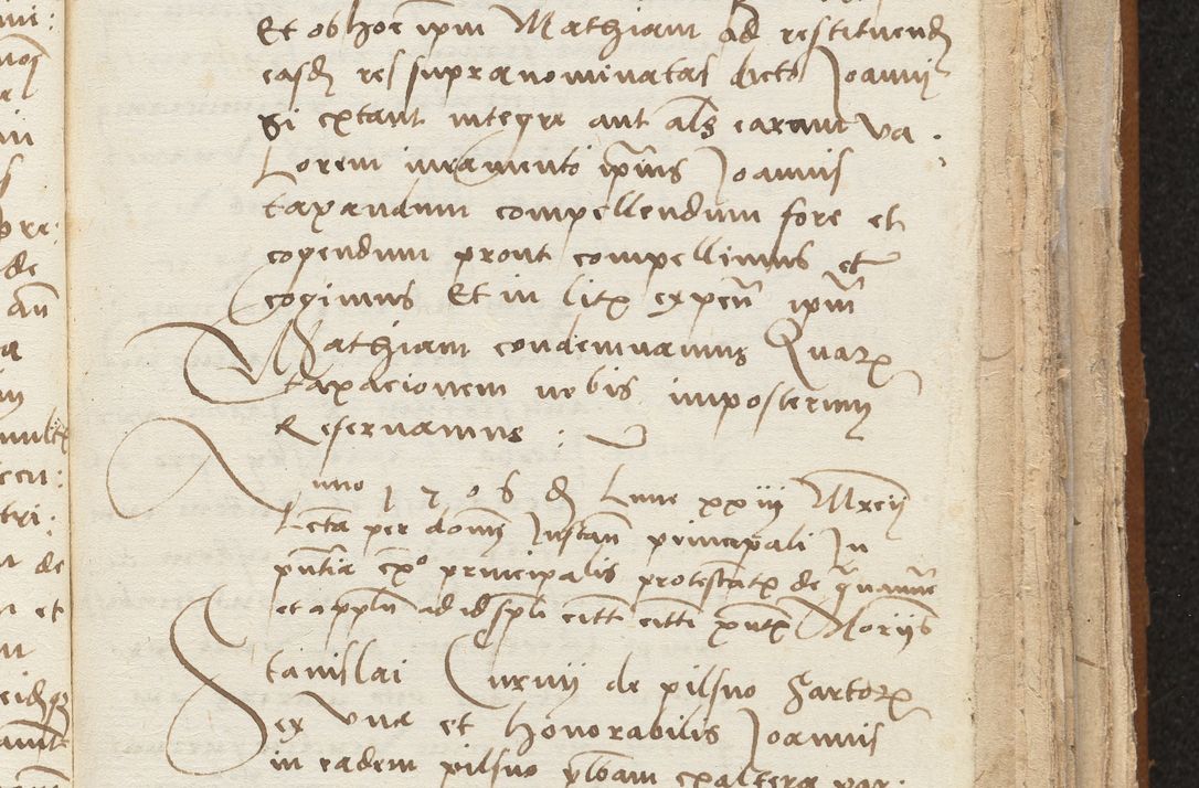 Zdjęcie nr 215 dla obiektu archiwalnego: [Acta sentenciarum officialia coram Valentino de Ilkusch]