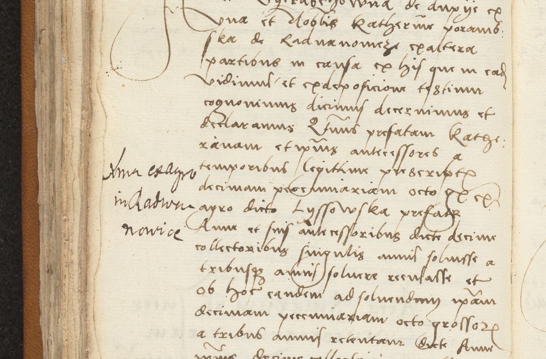 Zdjęcie nr 206 dla obiektu archiwalnego: [Acta sentenciarum officialia coram Valentino de Ilkusch]