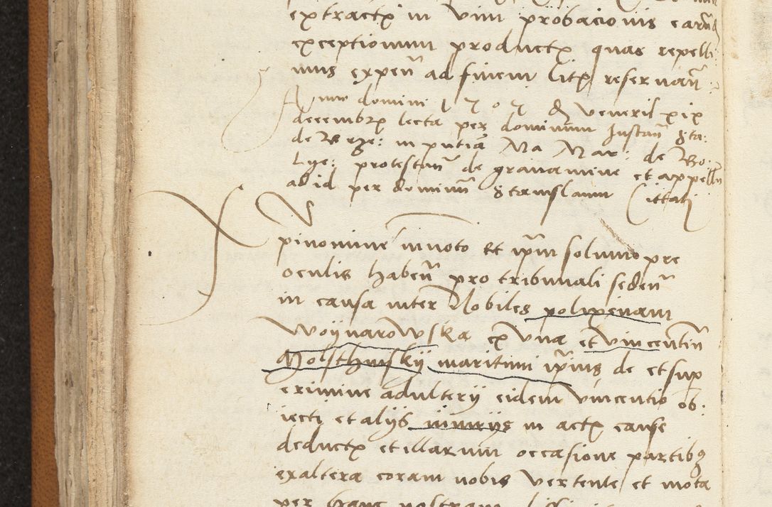 Zdjęcie nr 204 dla obiektu archiwalnego: [Acta sentenciarum officialia coram Valentino de Ilkusch]