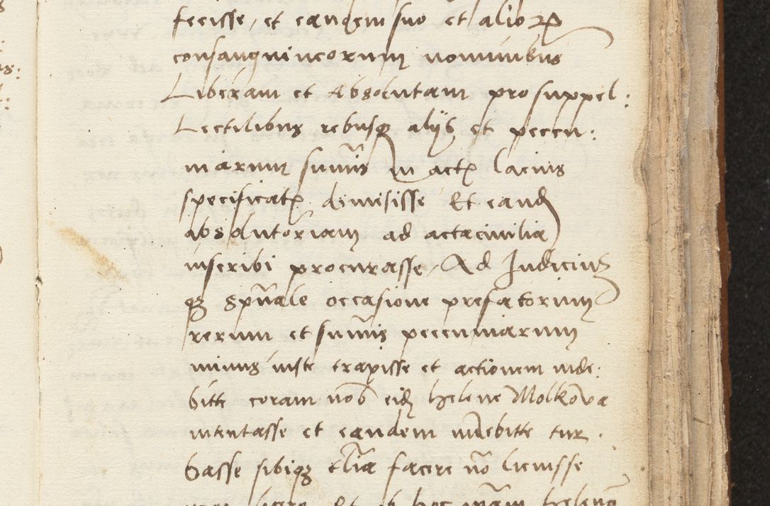 Zdjęcie nr 199 dla obiektu archiwalnego: [Acta sentenciarum officialia coram Valentino de Ilkusch]