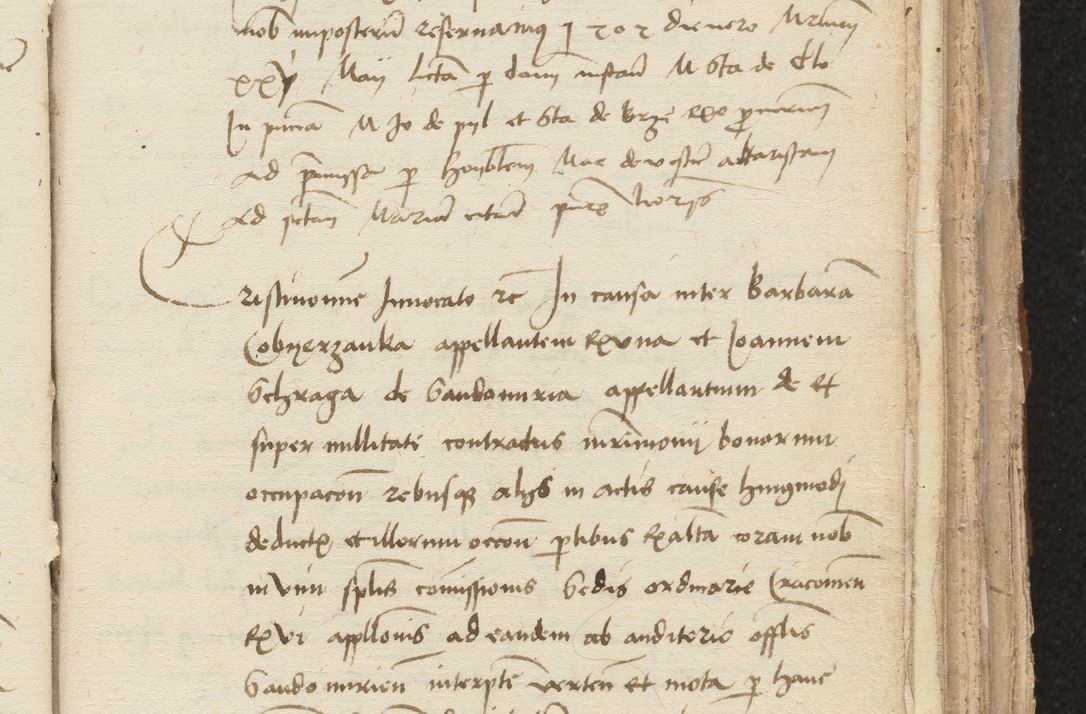 Zdjęcie nr 181 dla obiektu archiwalnego: [Acta sentenciarum officialia coram Valentino de Ilkusch]