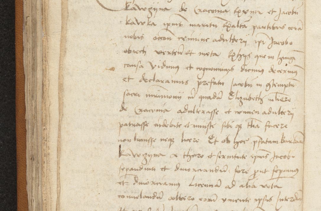 Zdjęcie nr 184 dla obiektu archiwalnego: [Acta sentenciarum officialia coram Valentino de Ilkusch]