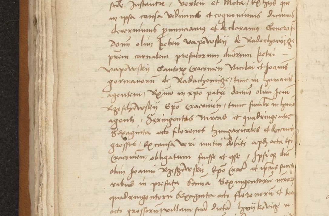 Zdjęcie nr 110 dla obiektu archiwalnego: [Acta sentenciarum officialia coram Valentino de Ilkusch]