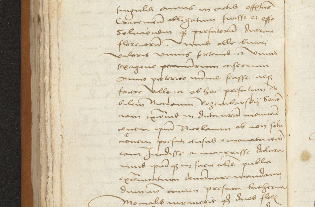 Zdjęcie nr 102 dla obiektu archiwalnego: [Acta sentenciarum officialia coram Valentino de Ilkusch]