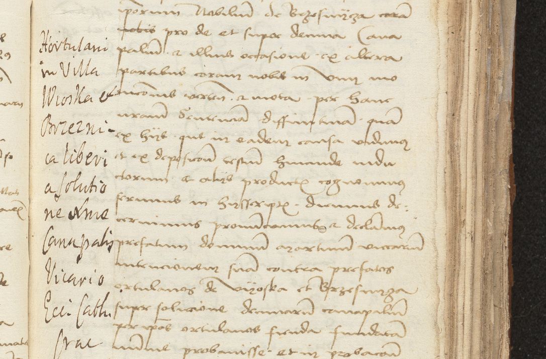 Zdjęcie nr 101 dla obiektu archiwalnego: [Acta sentenciarum officialia coram Valentino de Ilkusch]