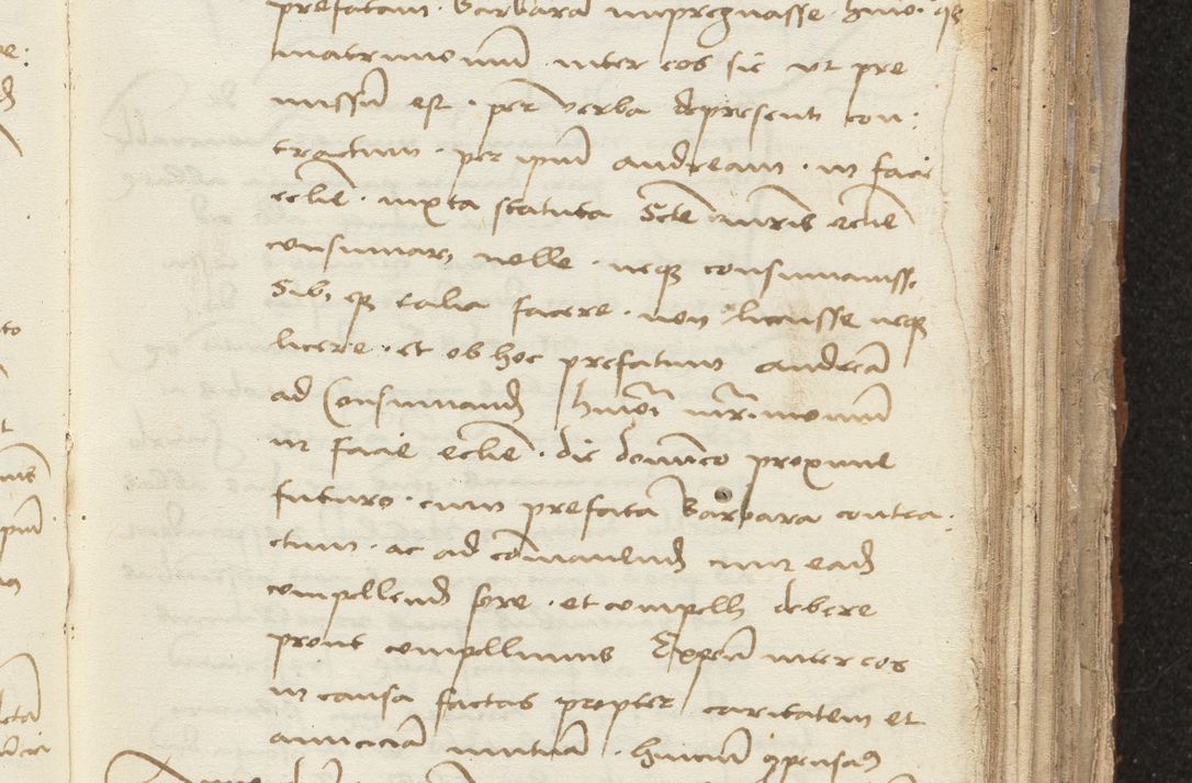 Zdjęcie nr 97 dla obiektu archiwalnego: [Acta sentenciarum officialia coram Valentino de Ilkusch]