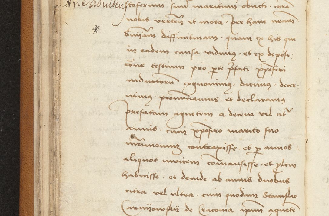 Zdjęcie nr 48 dla obiektu archiwalnego: [Acta sentenciarum officialia coram Valentino de Ilkusch]