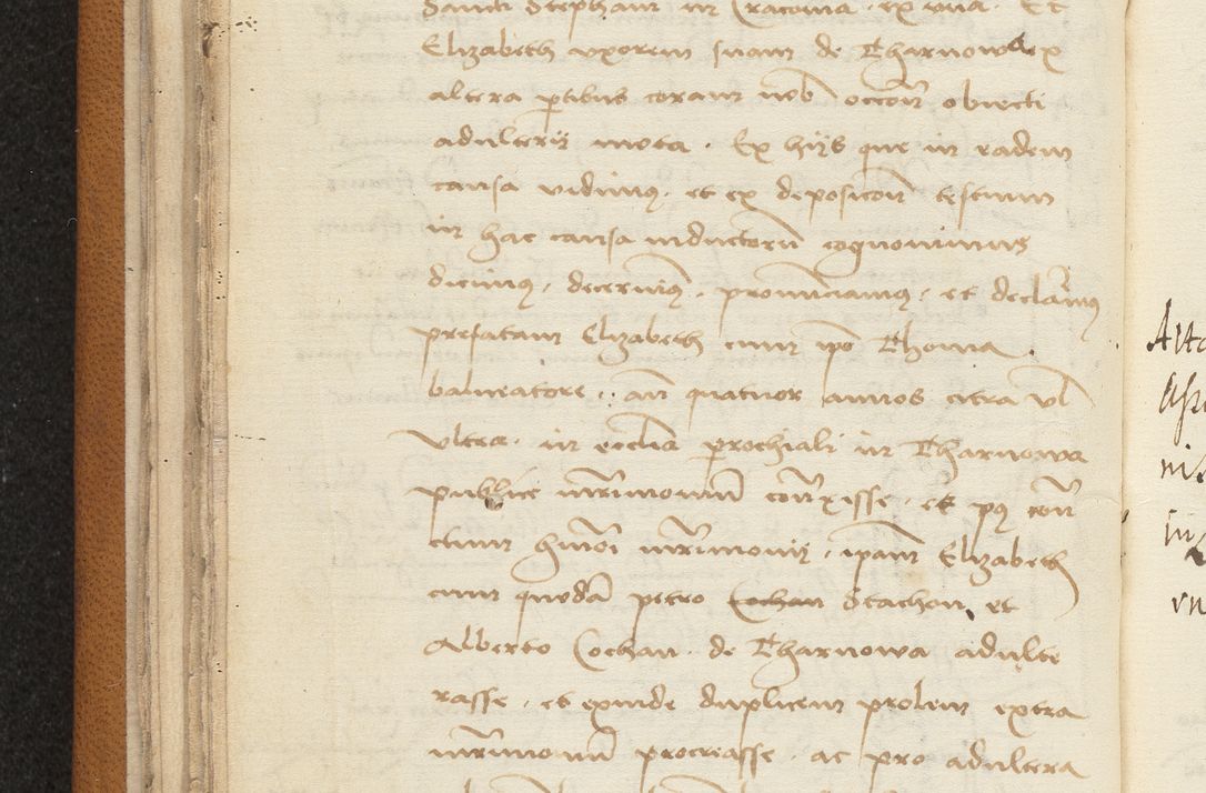 Zdjęcie nr 46 dla obiektu archiwalnego: [Acta sentenciarum officialia coram Valentino de Ilkusch]