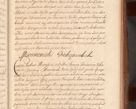 Zdjęcie nr 250 dla obiektu archiwalnego: Acta actorum episcopalium R. D. Constantini Feliciani in Szaniawy Szaniawski, episcopi Cracoviensis, ducis Severiae per annos 1724 - 1727 conscripta. Volumen II