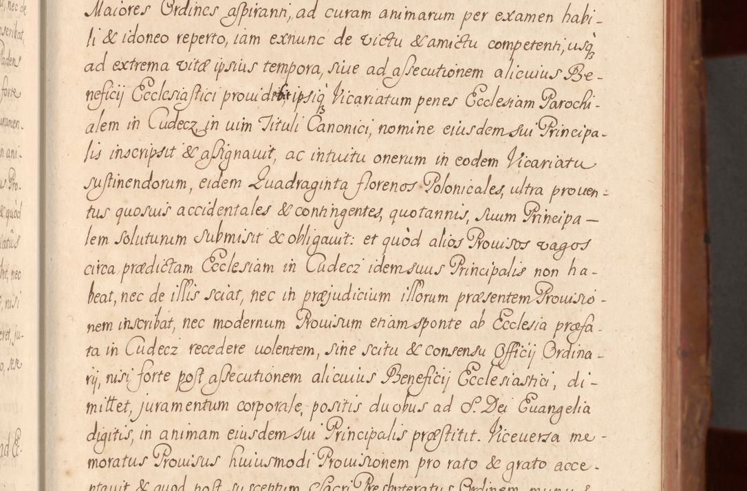 Zdjęcie nr 48 dla obiektu archiwalnego: Acta actorum episcopalium R. D. Constantini Feliciani in Szaniawy Szaniawski, episcopi Cracoviensis, ducis Severiae per annos 1724 - 1727 conscripta. Volumen II