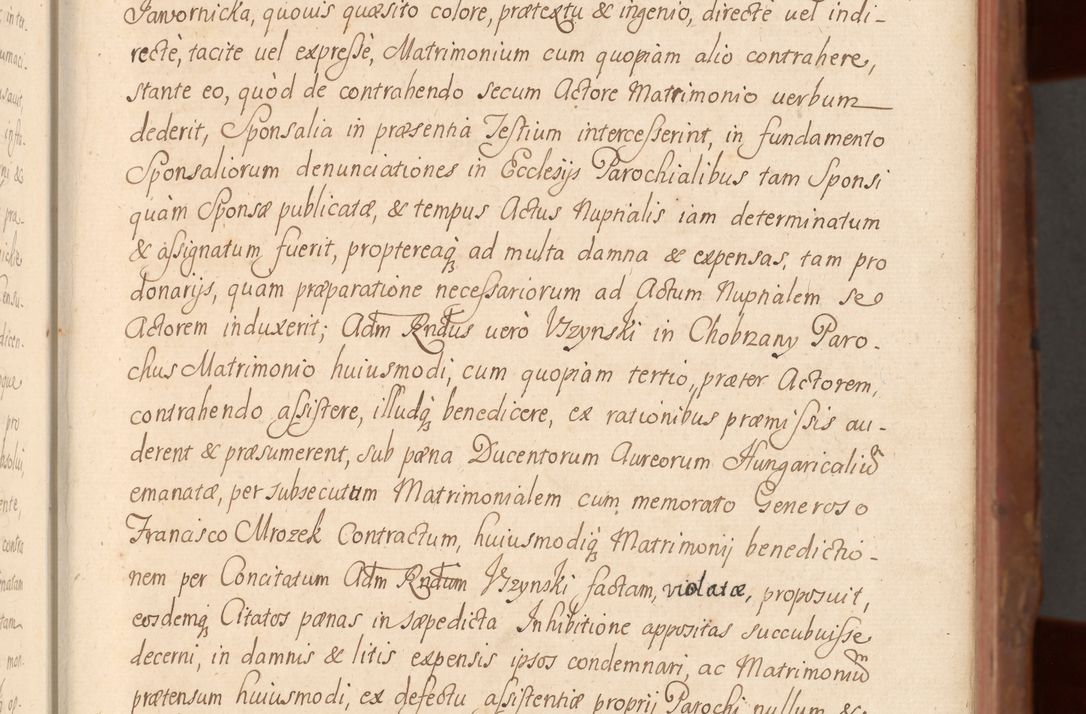 Zdjęcie nr 14 dla obiektu archiwalnego: Acta actorum episcopalium R. D. Constantini Feliciani in Szaniawy Szaniawski, episcopi Cracoviensis, ducis Severiae per annos 1724 - 1727 conscripta. Volumen II