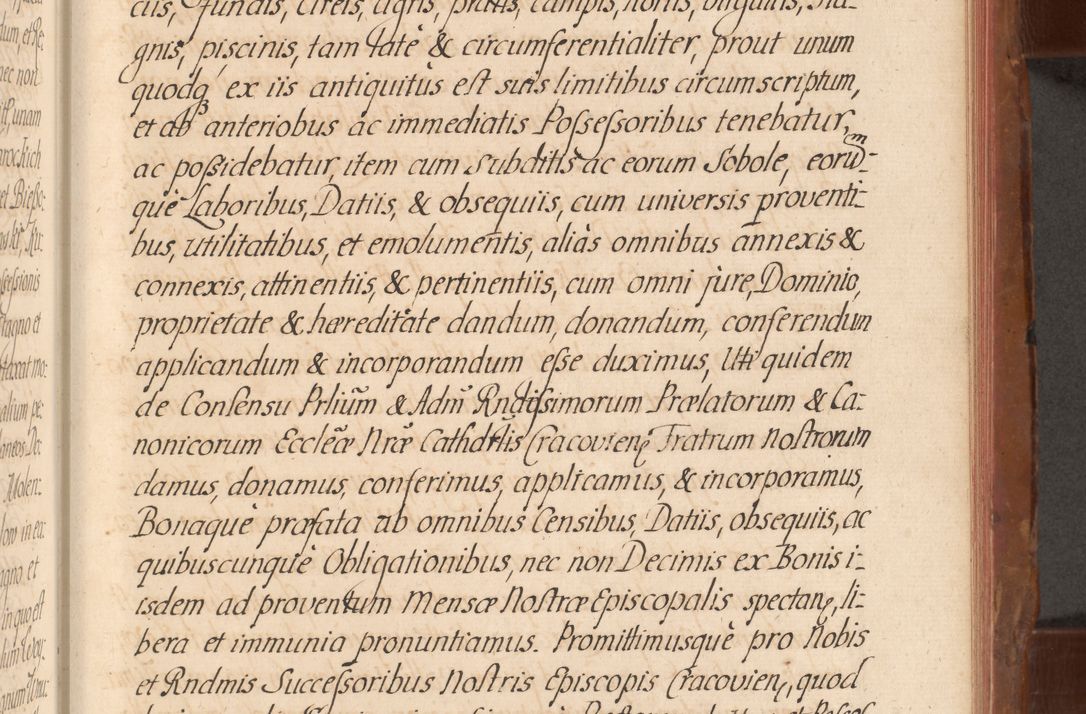 Zdjęcie nr 532 dla obiektu archiwalnego: Acta actorum episcopalium R. D. Constantini Feliciani in Szaniawy Szaniawski, episcopi Cracoviensis, ducis Severiae per annos 1724 - 1727 conscripta. Volumen II