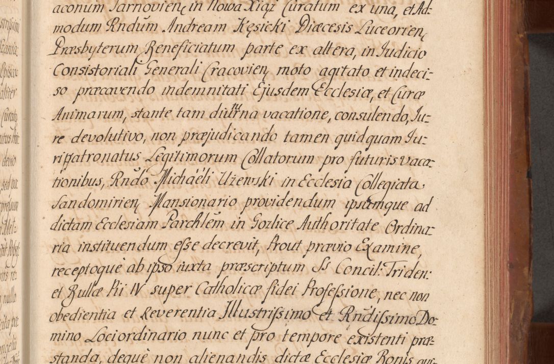 Zdjęcie nr 480 dla obiektu archiwalnego: Acta actorum episcopalium R. D. Constantini Feliciani in Szaniawy Szaniawski, episcopi Cracoviensis, ducis Severiae per annos 1724 - 1727 conscripta. Volumen II