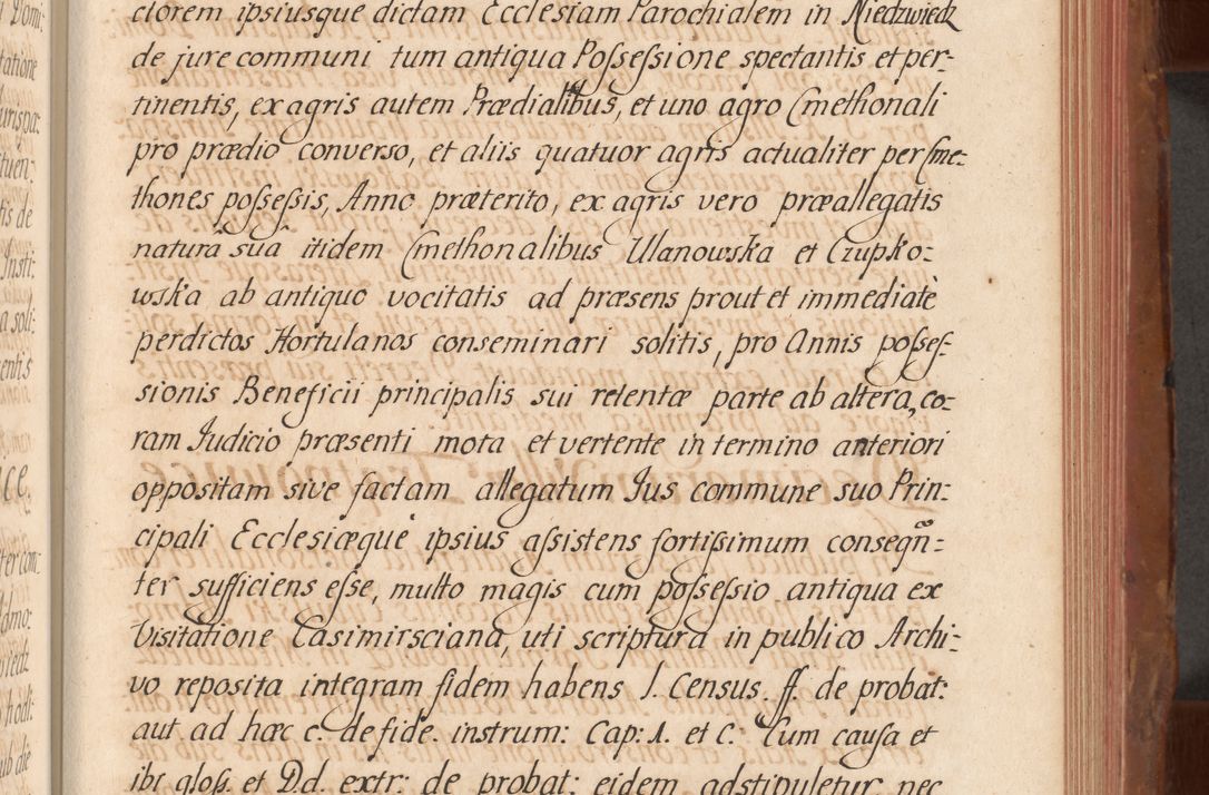Zdjęcie nr 454 dla obiektu archiwalnego: Acta actorum episcopalium R. D. Constantini Feliciani in Szaniawy Szaniawski, episcopi Cracoviensis, ducis Severiae per annos 1724 - 1727 conscripta. Volumen II