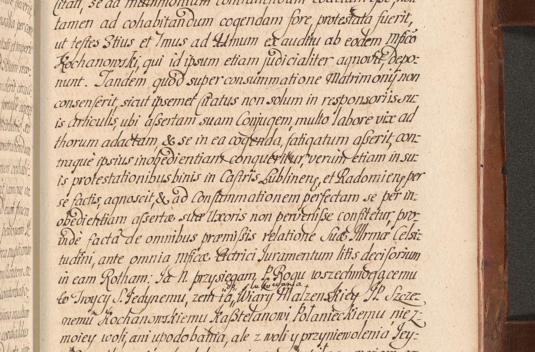 Zdjęcie nr 817 dla obiektu archiwalnego: Acta actorum episcopalium R. D. Constantini Feliciani in Szaniawy Szaniawski, episcopi Cracoviensis, ducis Severiae per annos 1724 - 1727 conscripta. Volumen II