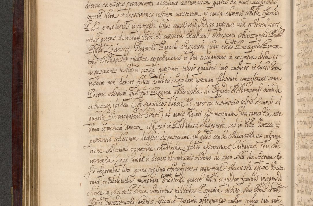 Zdjęcie nr 197 dla obiektu archiwalnego: Acta actorum episcopalium R. D. Andreae Trzebicki ab anno 1670 ad annum 1675 mensem Martinum acticatorum Volumen V