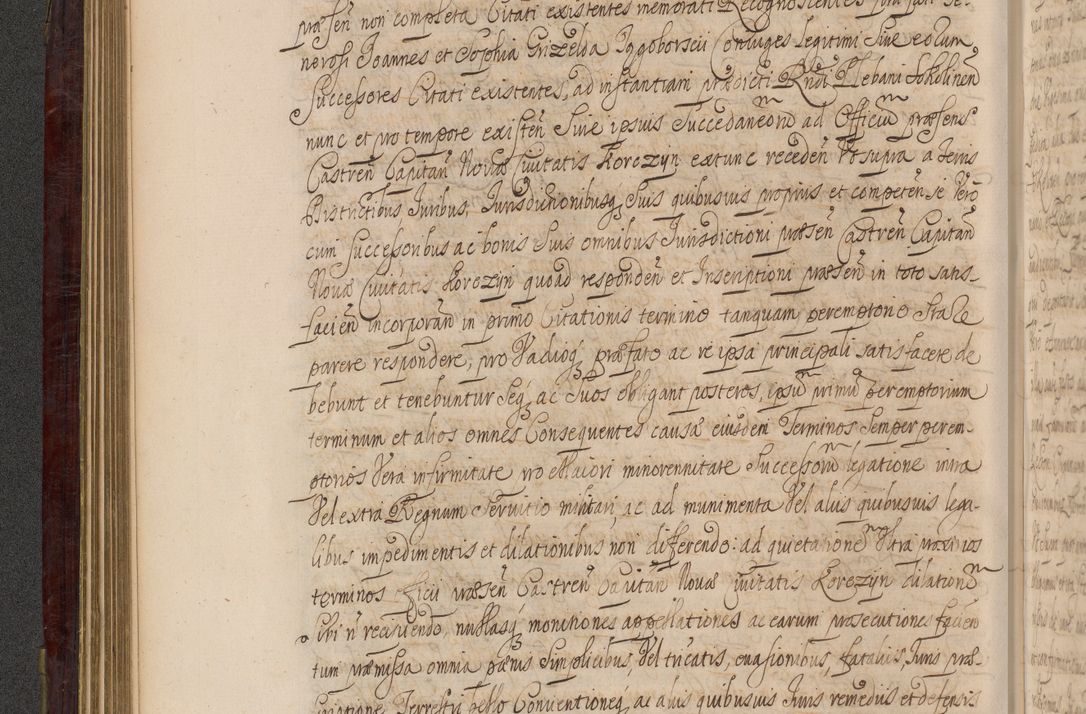 Zdjęcie nr 191 dla obiektu archiwalnego: Acta actorum episcopalium R. D. Andreae Trzebicki ab anno 1670 ad annum 1675 mensem Martinum acticatorum Volumen V