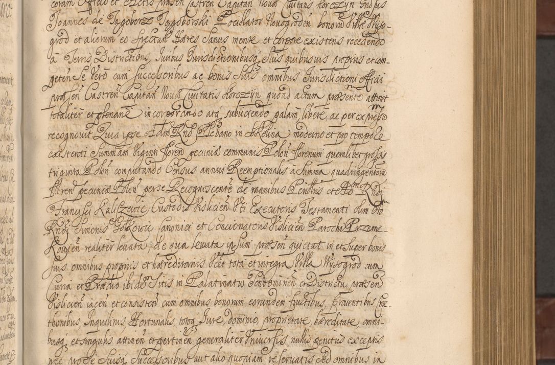 Zdjęcie nr 188 dla obiektu archiwalnego: Acta actorum episcopalium R. D. Andreae Trzebicki ab anno 1670 ad annum 1675 mensem Martinum acticatorum Volumen V