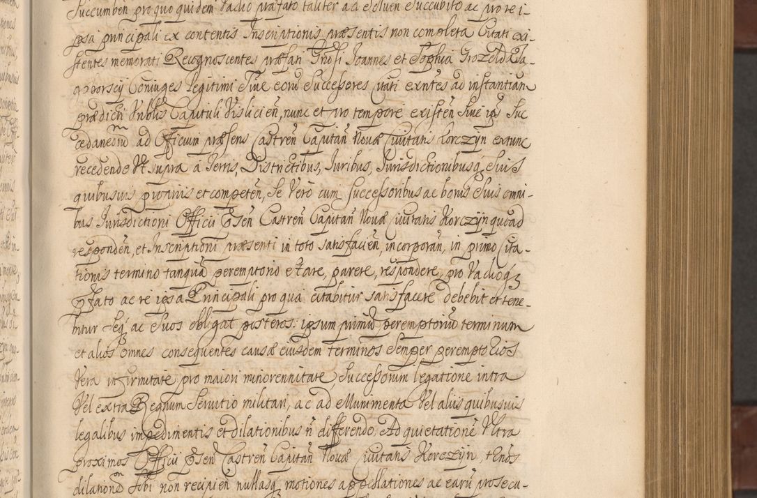Zdjęcie nr 172 dla obiektu archiwalnego: Acta actorum episcopalium R. D. Andreae Trzebicki ab anno 1670 ad annum 1675 mensem Martinum acticatorum Volumen V