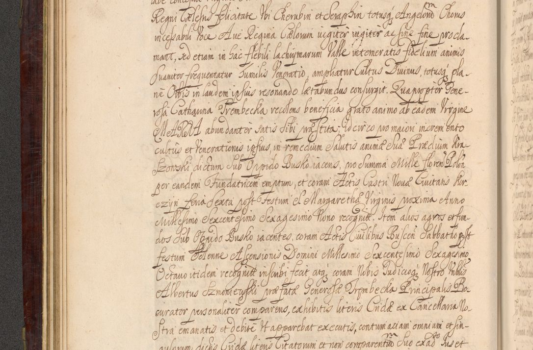 Zdjęcie nr 57 dla obiektu archiwalnego: Acta actorum episcopalium R. D. Andreae Trzebicki ab anno 1670 ad annum 1675 mensem Martinum acticatorum Volumen V