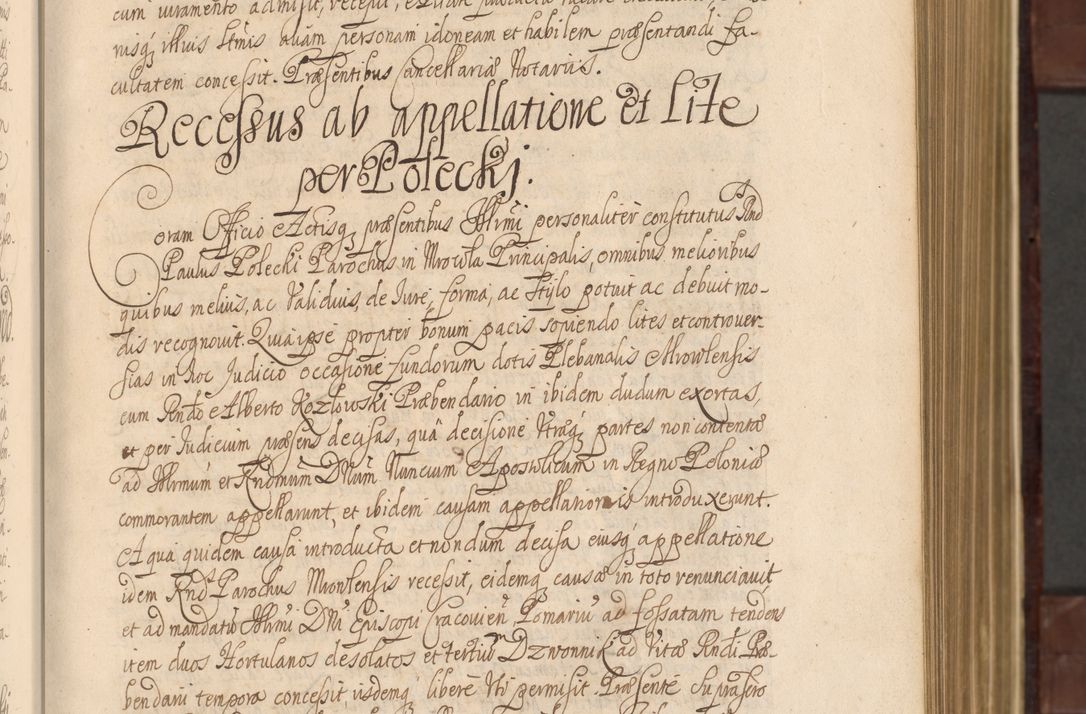 Zdjęcie nr 30 dla obiektu archiwalnego: Acta actorum episcopalium R. D. Andreae Trzebicki ab anno 1670 ad annum 1675 mensem Martinum acticatorum Volumen V