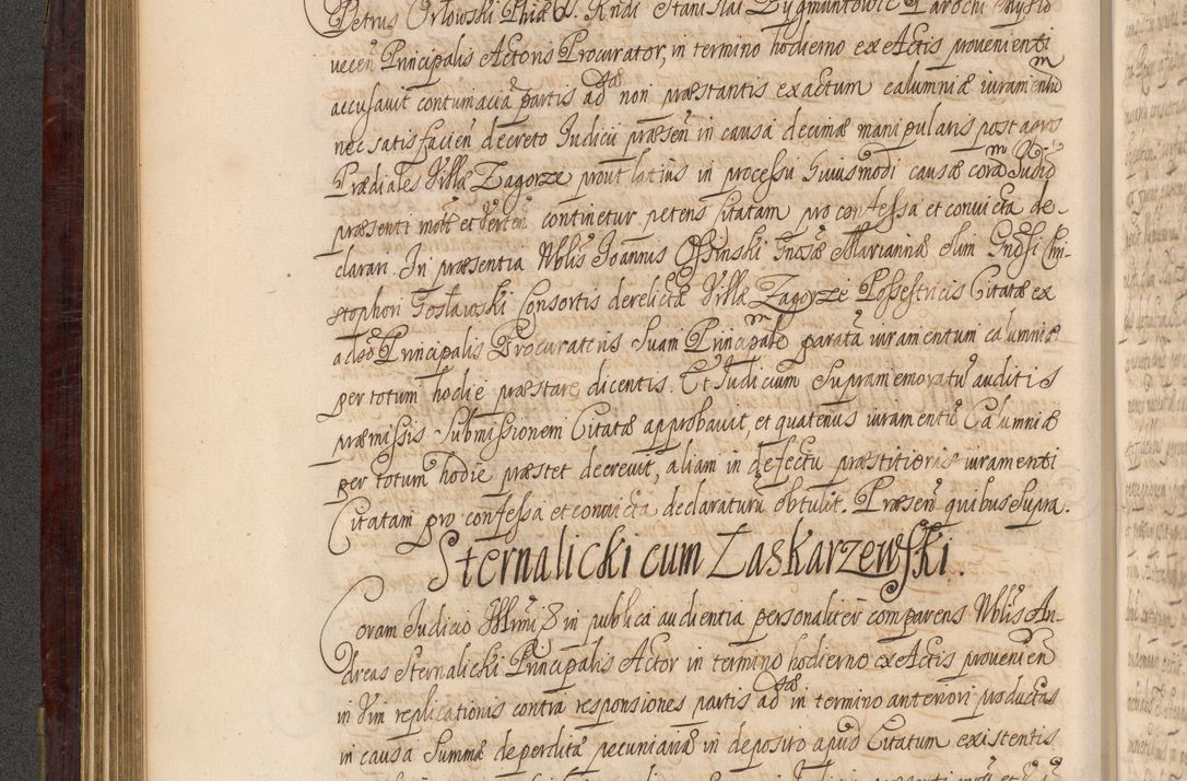 Zdjęcie nr 209 dla obiektu archiwalnego: Acta actorum episcopalium R. D. Andreae Trzebicki ab anno 1670 ad annum 1675 mensem Martinum acticatorum Volumen V