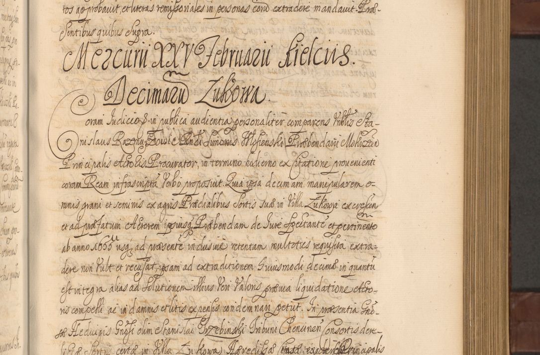 Zdjęcie nr 336 dla obiektu archiwalnego: Acta actorum episcopalium R. D. Andreae Trzebicki ab anno 1670 ad annum 1675 mensem Martinum acticatorum Volumen V