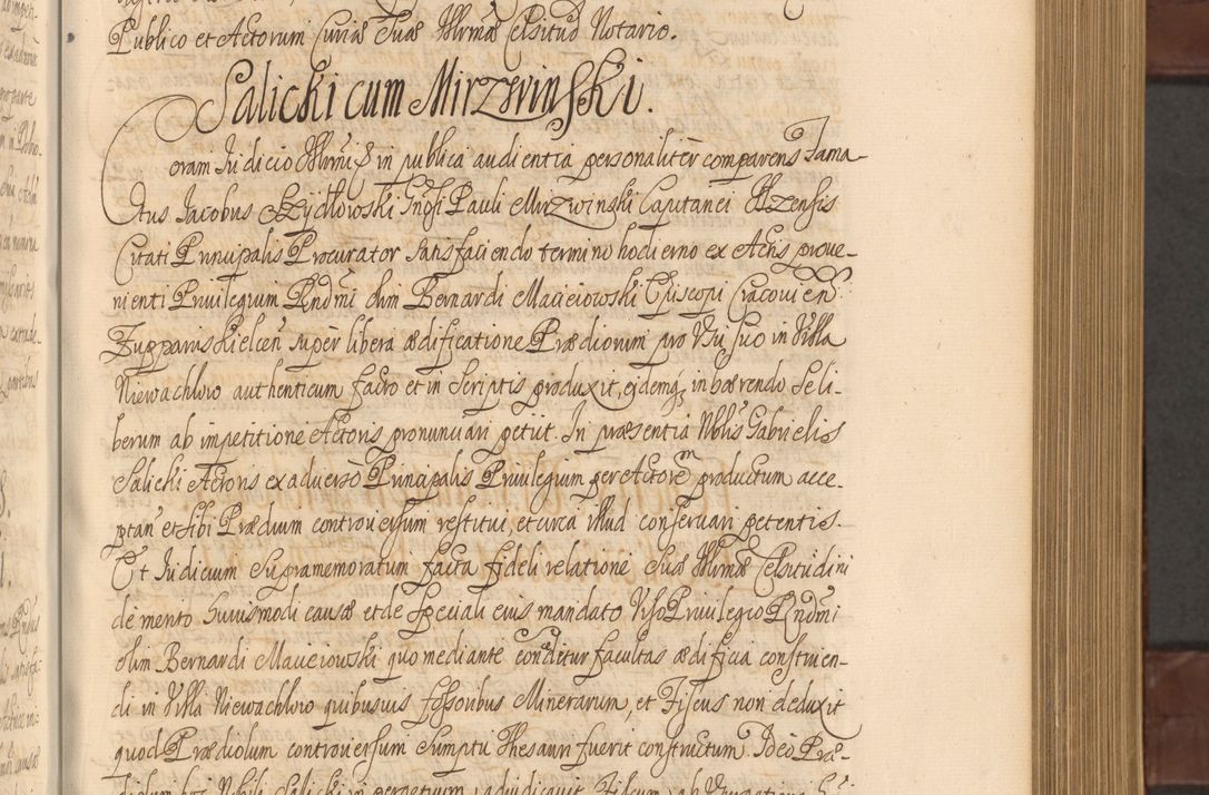 Zdjęcie nr 310 dla obiektu archiwalnego: Acta actorum episcopalium R. D. Andreae Trzebicki ab anno 1670 ad annum 1675 mensem Martinum acticatorum Volumen V