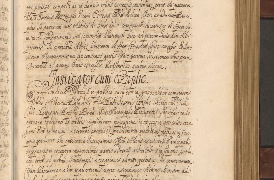 Zdjęcie nr 308 dla obiektu archiwalnego: Acta actorum episcopalium R. D. Andreae Trzebicki ab anno 1670 ad annum 1675 mensem Martinum acticatorum Volumen V