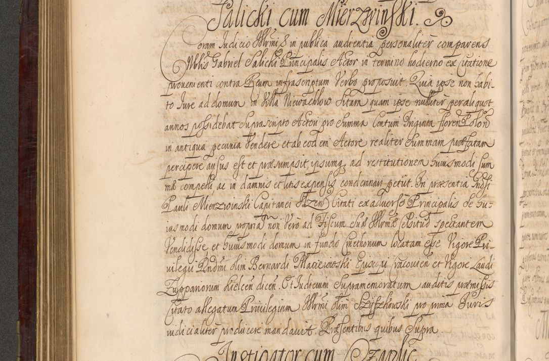 Zdjęcie nr 305 dla obiektu archiwalnego: Acta actorum episcopalium R. D. Andreae Trzebicki ab anno 1670 ad annum 1675 mensem Martinum acticatorum Volumen V