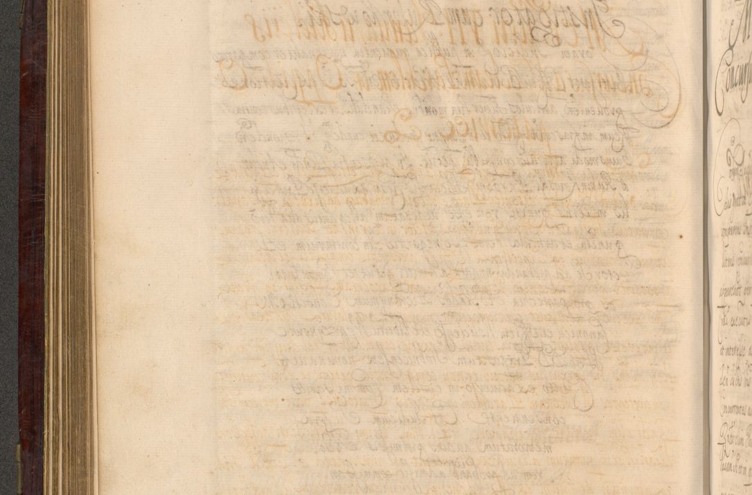 Zdjęcie nr 293 dla obiektu archiwalnego: Acta actorum episcopalium R. D. Andreae Trzebicki ab anno 1670 ad annum 1675 mensem Martinum acticatorum Volumen V