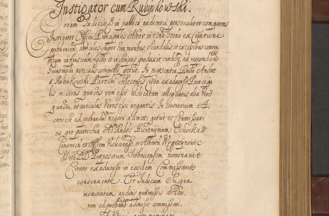 Zdjęcie nr 292 dla obiektu archiwalnego: Acta actorum episcopalium R. D. Andreae Trzebicki ab anno 1670 ad annum 1675 mensem Martinum acticatorum Volumen V