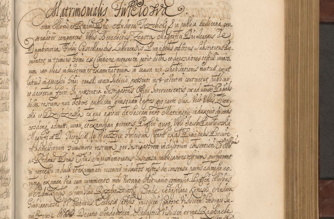 Zdjęcie nr 258 dla obiektu archiwalnego: Acta actorum episcopalium R. D. Andreae Trzebicki ab anno 1670 ad annum 1675 mensem Martinum acticatorum Volumen V