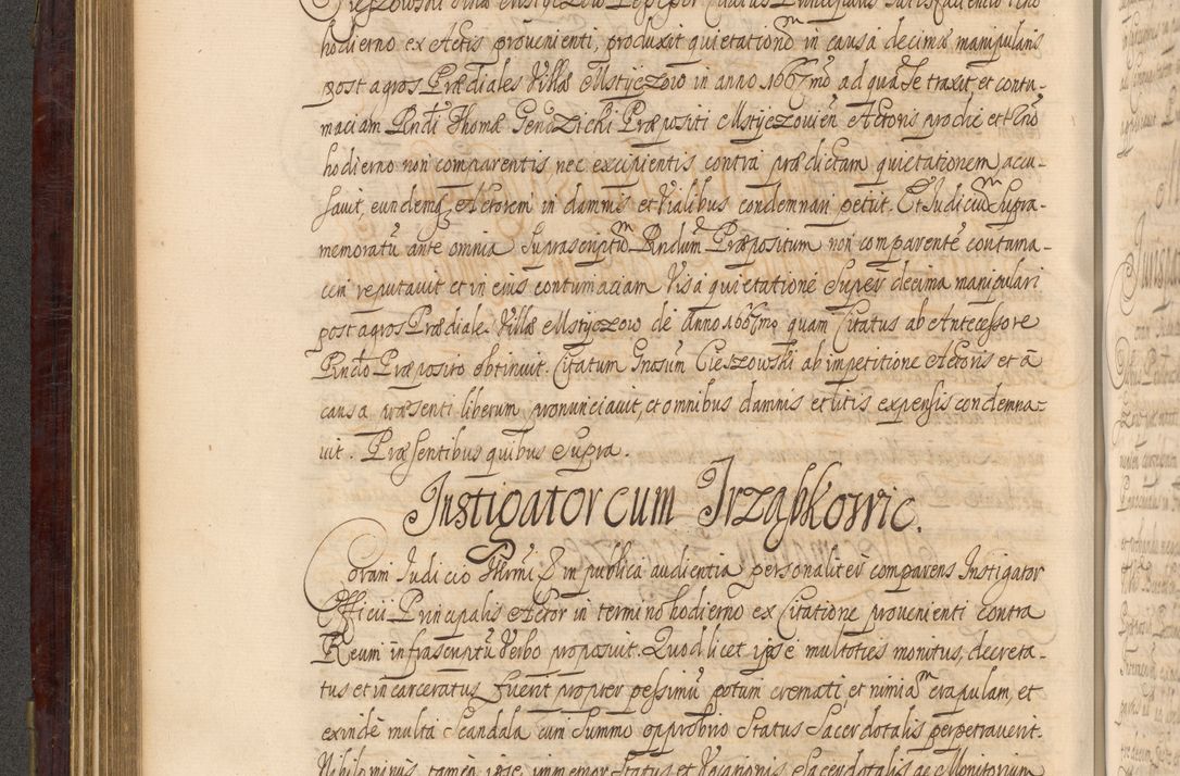 Zdjęcie nr 245 dla obiektu archiwalnego: Acta actorum episcopalium R. D. Andreae Trzebicki ab anno 1670 ad annum 1675 mensem Martinum acticatorum Volumen V